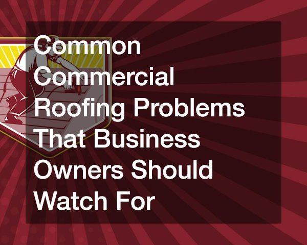 Common Commercial Roofing Problems That Business Owners Should Watch For
